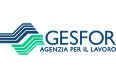 GESFOR