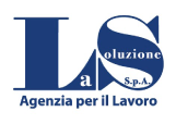 LA SOLUZIONE AGENZIA PER IL LAVORO 